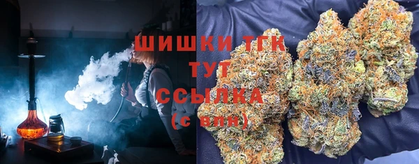 гашик Волосово