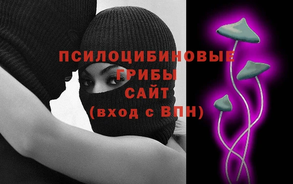 apvp Володарск