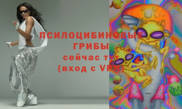 гашик Волосово
