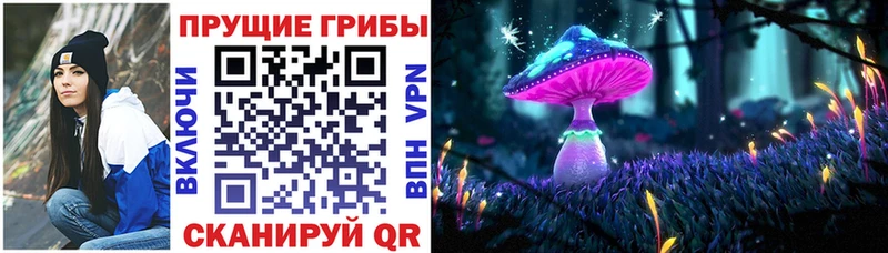 Галлюциногенные грибы прущие грибы  как найти   Евпатория 